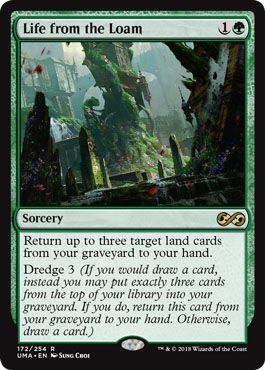 Life from the Loam 172 254 Life from the Loam 172 254