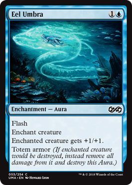 Eel Umbra 053 254 Eel Umbra 053 254