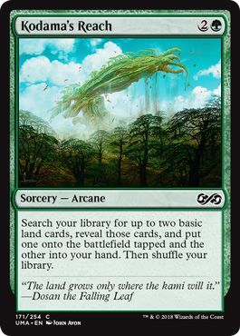 Kodama s Reach 171 254 Kodama s Reach 171 254