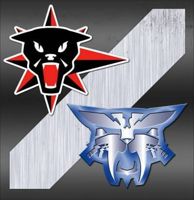 Nova Cats Spirit Cats MC 011 NC MechWarrior Vanguard Nova Cats Spirit Cats MC 011 NC MechWarrior Vanguard