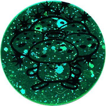 Pokemon 1999 Vileplume Collectible Coin Green Confetti Holofoil Pokemon Coins Pins Badges Pokemon 1999 Vileplume Collectible Coin Green Confetti Holofoil Pokemon Coins Pins Badges