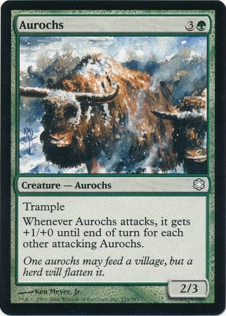 Aurochs 