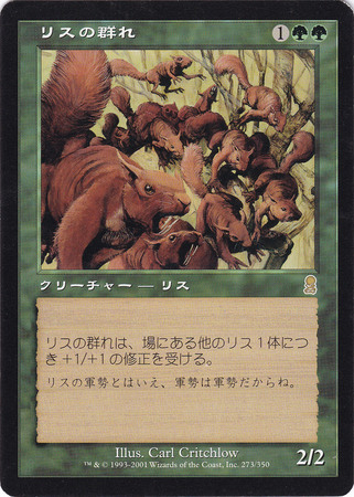 Japanese Squirrel Mob 273 350 Japanese Squirrel Mob 273 350