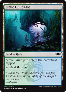 Simic Guildgate 258 259 Simic Guildgate 258 259