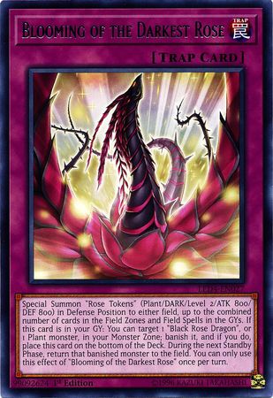 Yugioh Legendary Duelists Sisters of the Rose LED4 Rare 1st Ed Choose from list