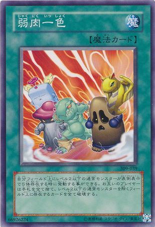 The Law of the Normal Japanese 309 039 Common Japanese Yugioh Cards The Law of the Normal Japanese 309 039 Common Japanese Yugioh Cards