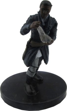 Waterdeep Dungeon of the Mad Mage D & D Mini Human Storm Sorcerer 24/44