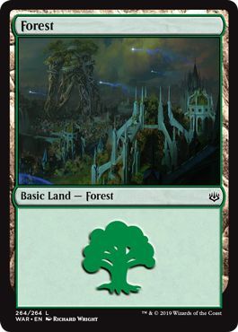 Forest 264 264 Forest 264 264