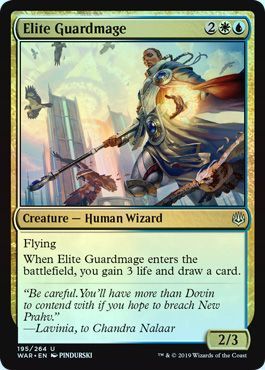Elite Guardmage 195 264 Foil Elite Guardmage 195 264 Foil