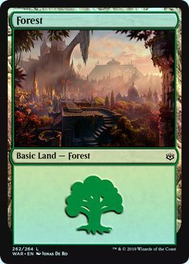 Forest 262 264 Foil Forest 262 264 Foil