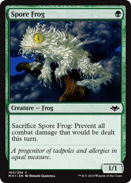 Spore Frog 180 254 Spore Frog 180 254