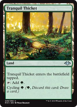 Tranquil Thicket 248 254 Modern Horizons Singles Tranquil Thicket 248 254 Modern Horizons Singles