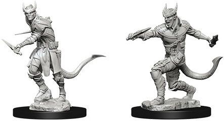Nolzur s Marvelous Miniatures Unpainted D D Tiefling Rogue Male Nolzur s Marvelous Miniatures Unpainted D D Tiefling Rogue Male