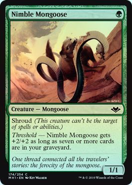 Nimble Mongoose 174 254 Foil Modern Horizons Foil Singles Nimble Mongoose 174 254 Foil Modern Horizons Foil Singles