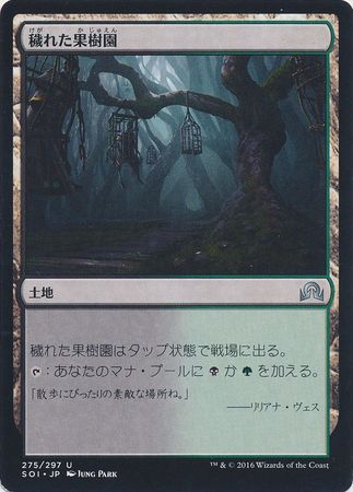Foul Orchard Japanese 275 297 Shadows over Innistrad Japanese Singles Foul Orchard Japanese 275 297 Shadows over Innistrad Japanese Singles