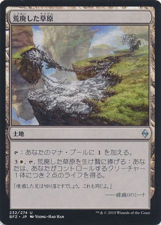 Blighted Steppe Japanese 232 274 Battle for Zendikar Japanese Singles Blighted Steppe Japanese 232 274 Battle for Zendikar Japanese Singles