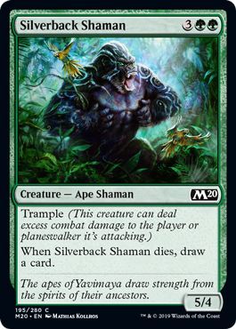 Silverback Shaman 195 280 Magic 2020 M20 Singles Silverback Shaman 195 280 Magic 2020 M20 Singles