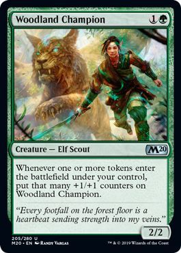 Woodland Champion 205 280 Woodland Champion 205 280