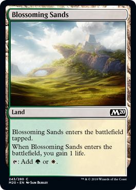 Blossoming Sands 243 280 Blossoming Sands 243 280