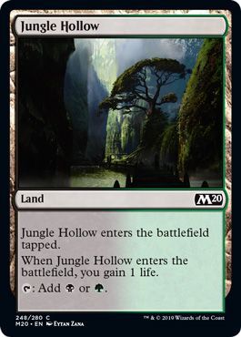 Jungle Hollow 248 280 Jungle Hollow 248 280