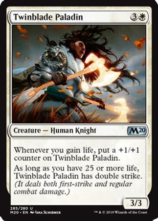 Twinblade Paladin 285 280 Magic 2020 M20 Singles Twinblade Paladin 285 280 Magic 2020 M20 Singles