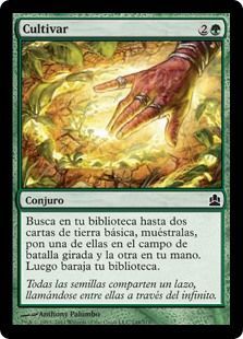 Cultivar 148 318 Commander Spanish Cultivar 148 318 Commander Spanish
