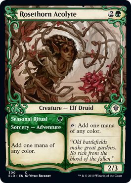 Rosethorn Acolyte 300 269 Alternate Showcase Promo Throne of Eldraine Singles Rosethorn Acolyte 300 269 Alternate Showcase Promo Throne of Eldraine Singles