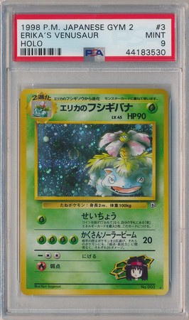 2024 Erika's venusaur holo rare