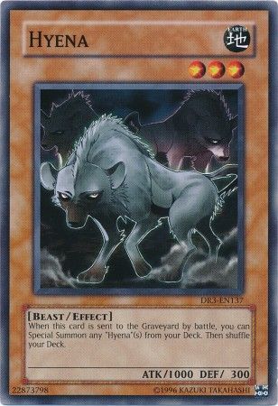 Hyena DR3 EN137 Common Hyena DR3 EN137 Common