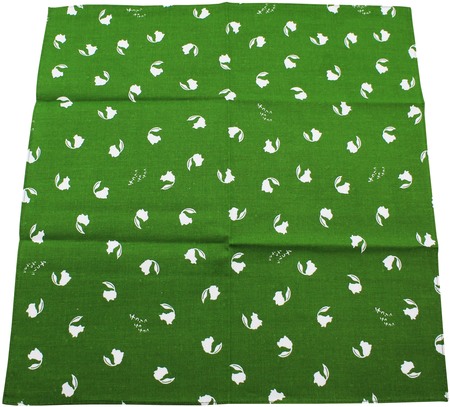 Pokemon Center Chikorita Green Cloth Playmat Pokemon Center Chikorita Green Cloth Playmat