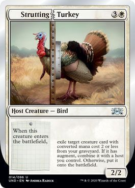 Strutting Turkey 014 096 Strutting Turkey 014 096