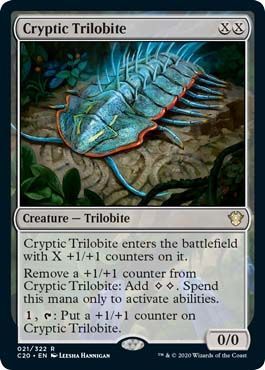 Cryptic Trilobite 021 322 Cryptic Trilobite 021 322