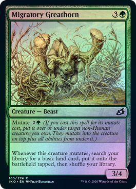 Migratory Greathorn 165 274 Foil Migratory Greathorn 165 274 Foil