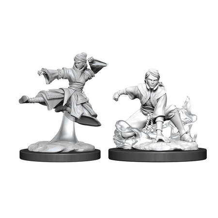 Nolzur s Marvelous Miniatures Unpainted D D Human Monk Female WZK90008 Nolzur s Marvelous Miniatures Unpainted D D Human Monk Female WZK90008