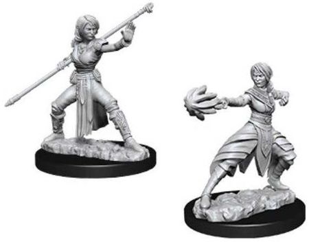 Nolzur s Marvelous Miniatures Unpainted D D Half Elf Monk Female WZK73839 Nolzur s Marvelous Miniatures Unpainted D D Half Elf Monk Female WZK73839