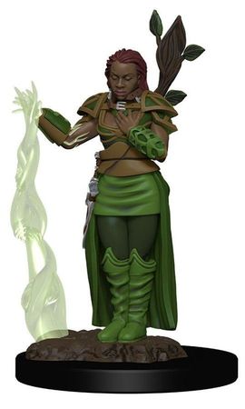 D D Icons of the Realms Premium Figures Human Female Druid WZK93009 D D Icons of the Realms Premium Figures Human Female Druid WZK93009