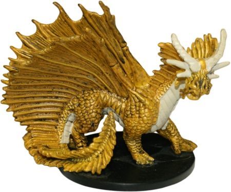 wizkids adult gold dragon