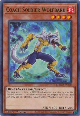 Coach Soldier Wolfbark MAGO EN120 Rare 1st Edition Maximum Gold 1st Edition Singles Coach Soldier Wolfbark MAGO EN120 Rare 1st Edition Maximum Gold 1st Edition Singles