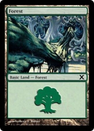 Forest 380 MTG 10th Edition Singles Forest 380 MTG 10th Edition Singles