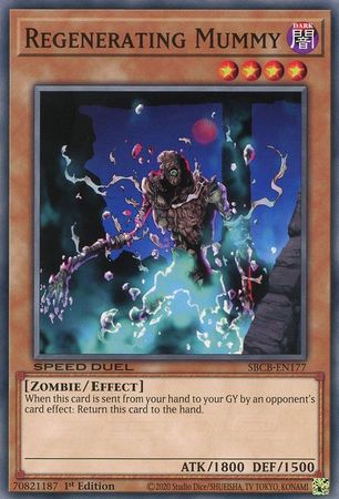 Regenerating Mummy SBCB EN177 Common 1st Edition Speed Duel Battle City Box 1st Edition Singles Regenerating Mummy SBCB EN177 Common 1st Edition Speed Duel Battle City Box 1st Edition Singles