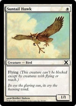 Suntail Hawk Suntail Hawk