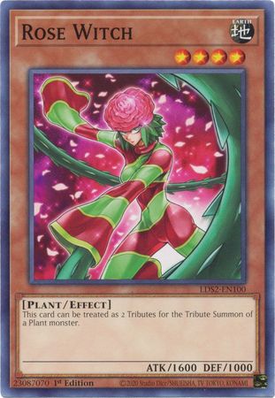 Rose Witch LDS2 EN100 Common 1st Edition Legendary Duelists Season 2 LDS2 1st Edition Singles Rose Witch LDS2 EN100 Common 1st Edition Legendary Duelists Season 2 LDS2 1st Edition Singles