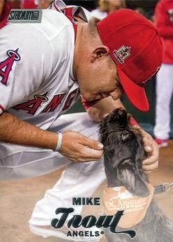 Mike Trout 2017 Stadium Club 233 Variation SP With Dog Topps 2017 Topps Stadium Club Mike Trout 2017 Stadium Club 233 Variation SP With Dog Topps 2017 Topps Stadium Club