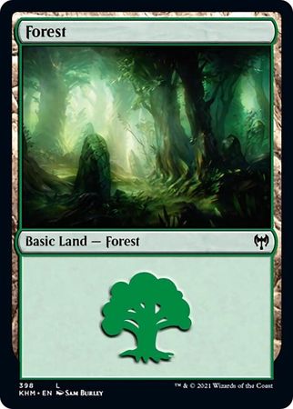 Forest 398 Forest 398