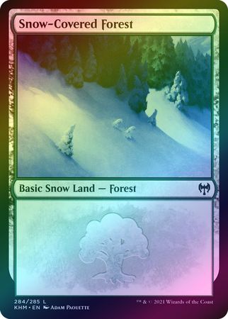 Foil MTG Coldsnap MTG Snow-Covered Forest