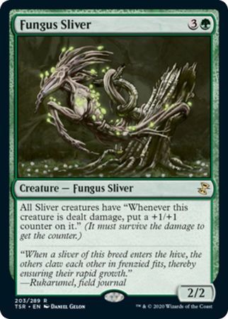 Fungus Sliver 203 289 Fungus Sliver 203 289