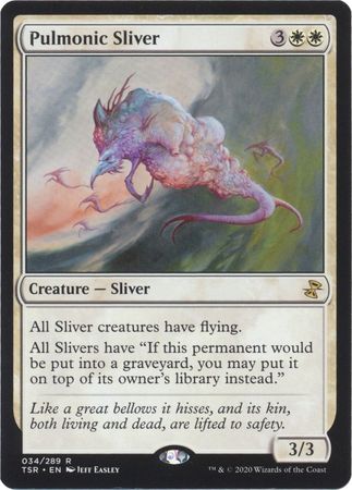 Pulmonic Sliver 034 289 Pulmonic Sliver 034 289