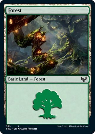 Forest 375 Forest 375