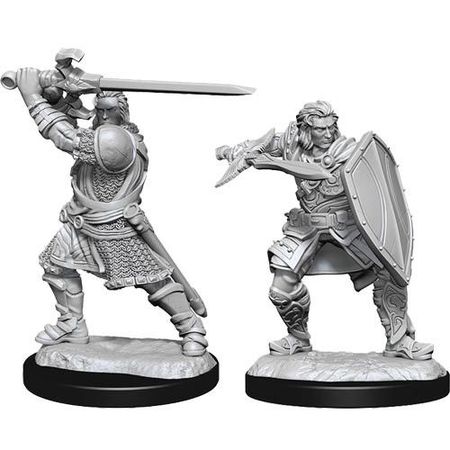 D D Nolzur s Marvelous Unpainted Miniatures Human Paladin WZK90220 D D Nolzur s Marvelous Unpainted Miniatures Human Paladin WZK90220
