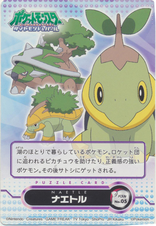 Turtwig Diamond & Pearl Pokemon Card